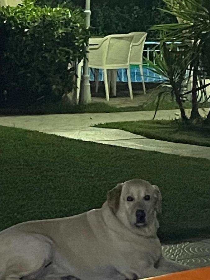 Belka Golf Residence Poolside Apt1 بيليك المظهر الخارجي الصورة